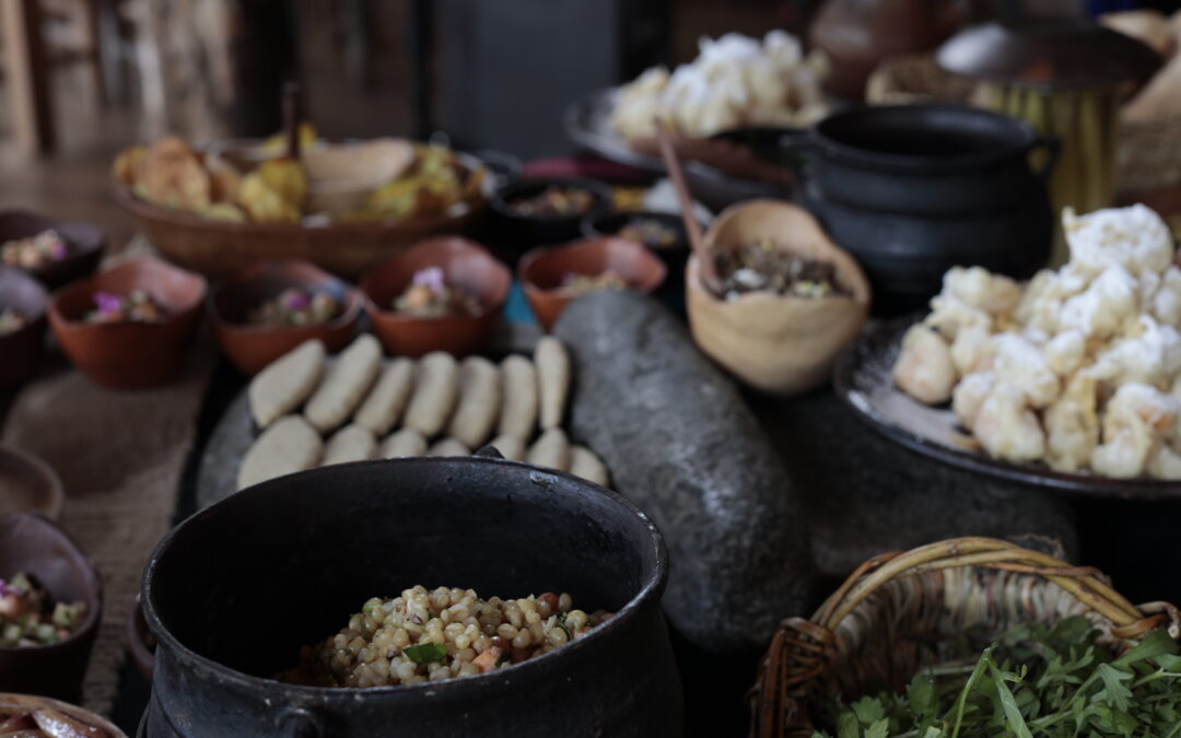 Mogekonmen regresa en Kurarewe: tres días para encontrarse con la gastronomía Mapuche y los saberes territoriales que la sostienen
